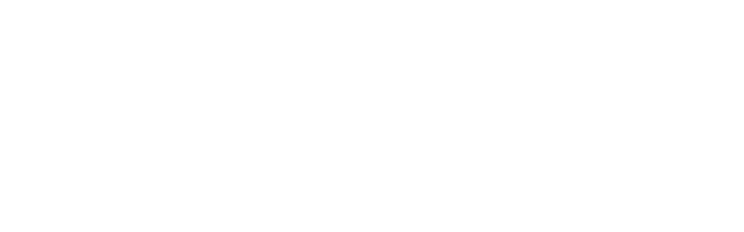 logo footer