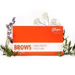 Thuya Zestaw do laminacji brwi i liftingu rzęs - obrazek 2