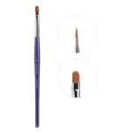 b559cbfe56b66c9d0e0f4a01537d75c6