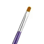 5bf9fe65a8539832ab11f98c570d2397