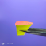 a7ce6be27e84a5902d4b5682a2595268