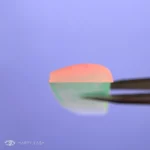 ea936ef99a07a180cea6c7d53849ddb6